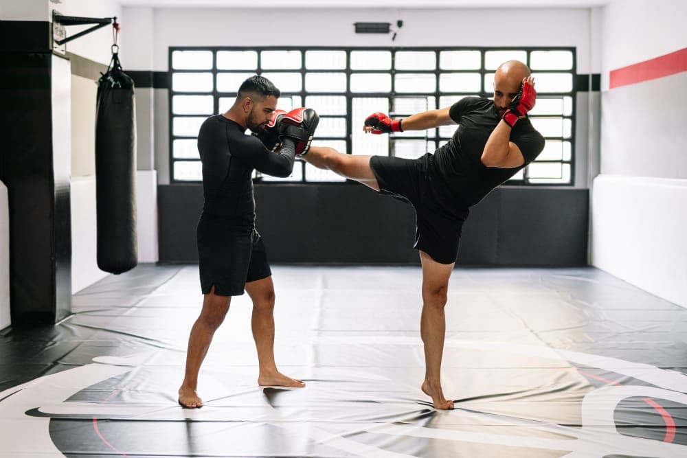 Academias de Artes Marciales y Boxeo
